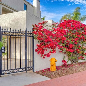 Yellow fire hydrant next to a house with a gate