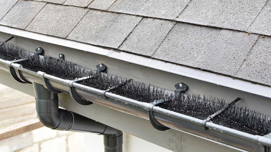 House gutter with brush guards