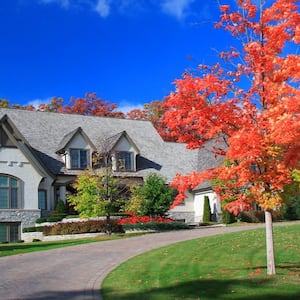 A tree next to a hosue’s driveway during autumn