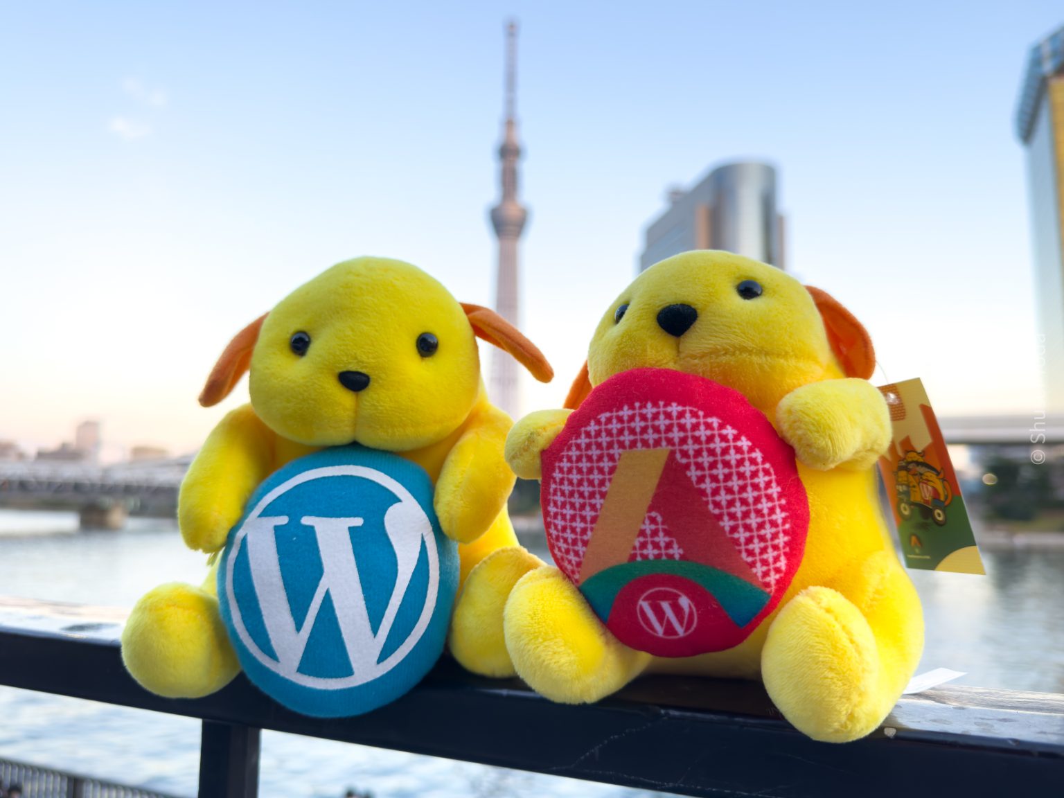Wapuu and WordCamp Asia Wapuu with Tokyo Skytree building in the background. Photo contributed by Shusei Toda to the WordPress Photo Directory.