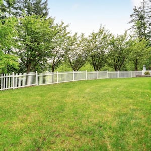 A large backyard with grass