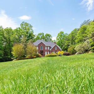 Low angle view of fescue grass with a house in the background