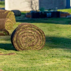 Large rolls of sod waiting to be planted