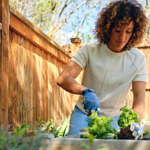 A woman planting herb plants in a backyard