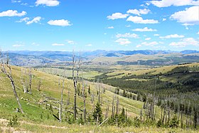 From Chittenden Road, Mt. Washburn, Yellowstone NP - panoramio - Aaron Zhu.jpg