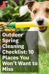 Outdoor Maintenance Tips