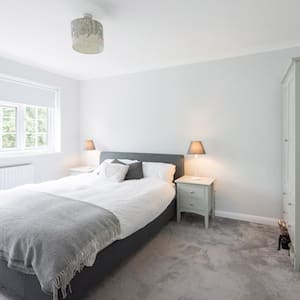 A spacious bedroom with grey carpeting