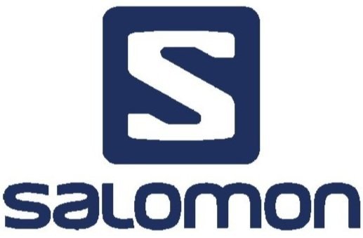 Salomon_group_logo%252Bblue.jpg