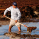 A worker removes sargassum seaweed from the shore of Playa del Carmen, Mexico, on May 8, 2019.