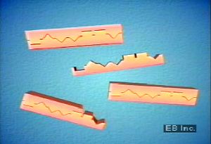 Learn how DNA thermal cycler employs polymerase chain reaction to copy DNA strands