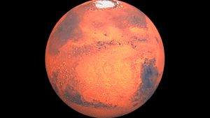 Learn about explorations of Mars, including spacecraft orbiting the planet and the Opportunity and Curiosity rovers traversing Mars's surface