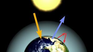 Study the effects of increasing concentrations of carbon dioxide on Earth's atmosphere and plant life