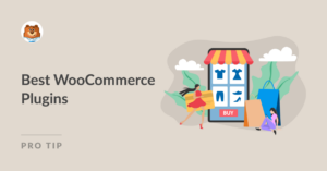 Best WooCommerce Plugins