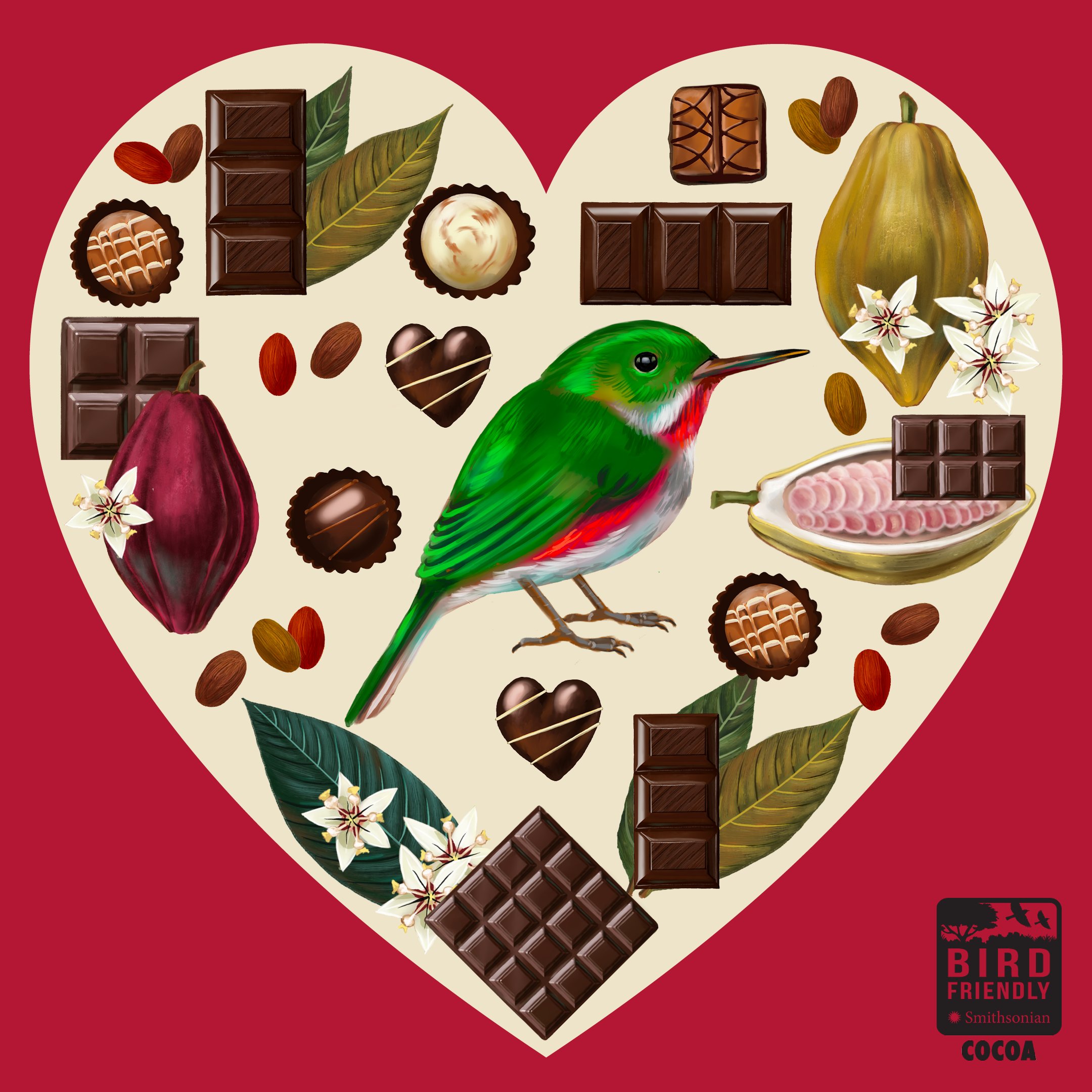 An illustration of a Broad-billed Tody surrounded by chocolate products, cacao flowers and fruits, and leaves.