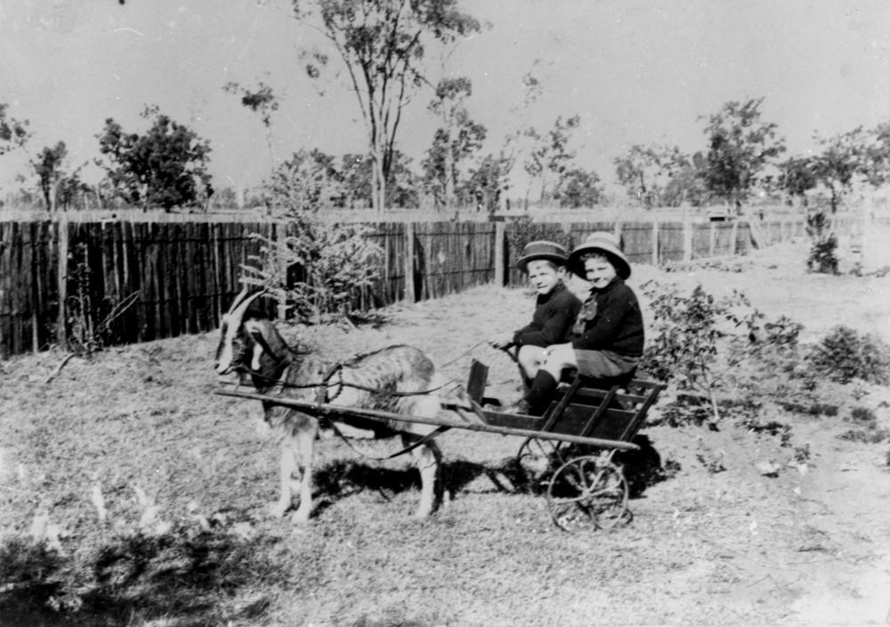 [[Category:Goat-drawn carts]]‎
(Unknown author, State Library of Queensland, public domain)