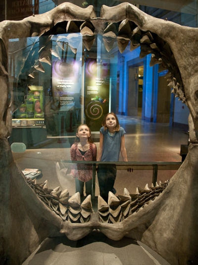 visitors at the Natural History Museum