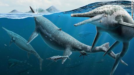 Artist&#39;s life reconstruction of adult and newly born Triassic ichthyosaurs Shonisaurus, 2022.