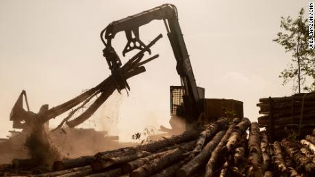 A log loader moves freshly cut trees in Northampton County, North Carolina.