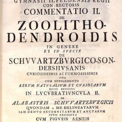 Commentatio II.  De Zoolitho-dendroidis in genre et in specie de Schwartzburgico-Sondershusianis curiosissimus ac formosissimus...