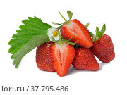 Handful of ripe red strawberry and green leaf isolated on white background... Стоковое фото, фотограф Natalya Danko / easy Fotostock / Фотобанк Лори