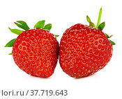 Two strawberries isolated on white background. Macro. Стоковое фото, фотограф Сергей Толмачёв / Фотобанк Лори