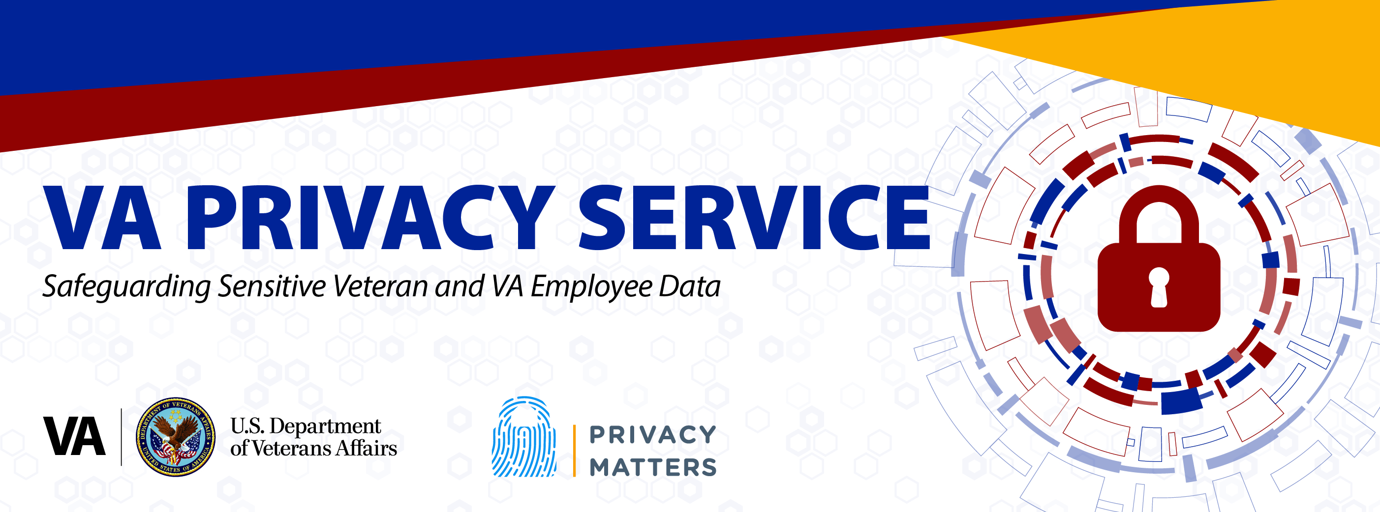 VA Privacy Service, Safeguarding sensitive veteran and VA Employee data