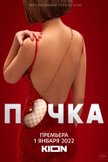 Постер Почка: 1 сезон