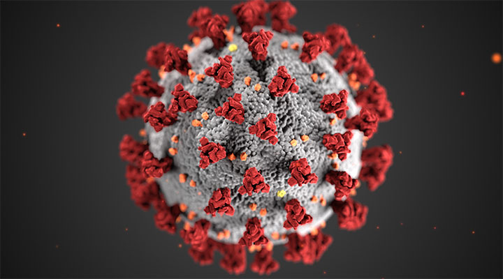 COVID-19 virus illustration