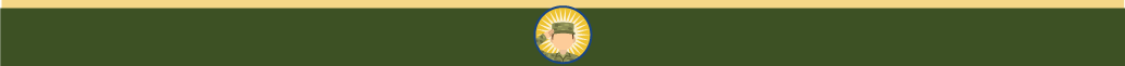 A soldier saluting