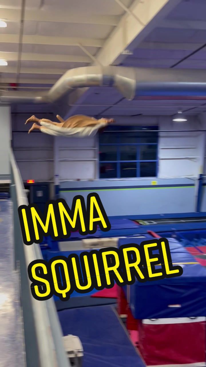 Jb just wants to fly…#PassTheBIC #funny #viral #fail #flyingsquirrel created by Wsb Shenanigans with Wsb Shenanigans's original sound
