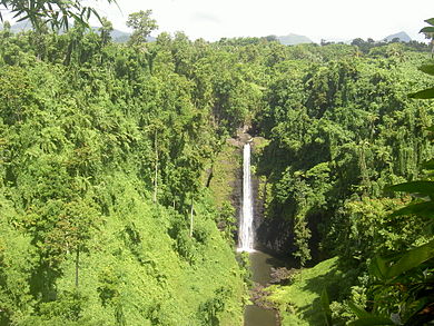 Samoa Sopoaga.jpg