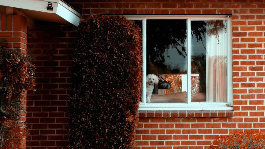 A view of a window of a red brick house