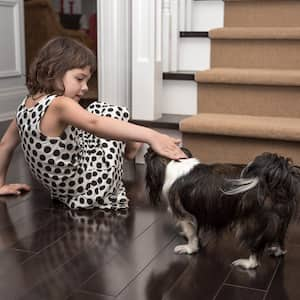 Little girl playing with the dog