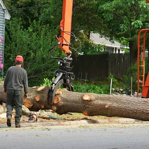 Removing tree trunk by crane in residential area