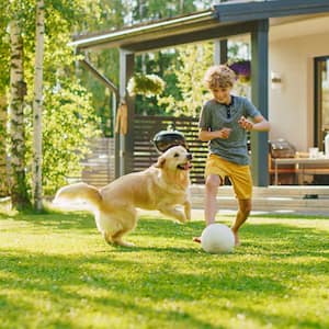 Boy playing with his dog in the yard