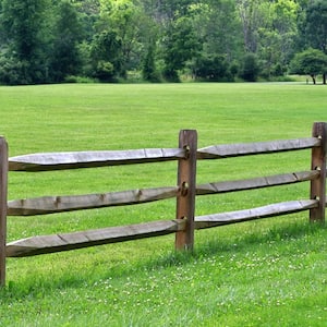 Split rail fence