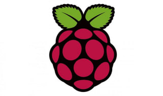 The Raspberry PI logo, a stylised cartoon raspberry