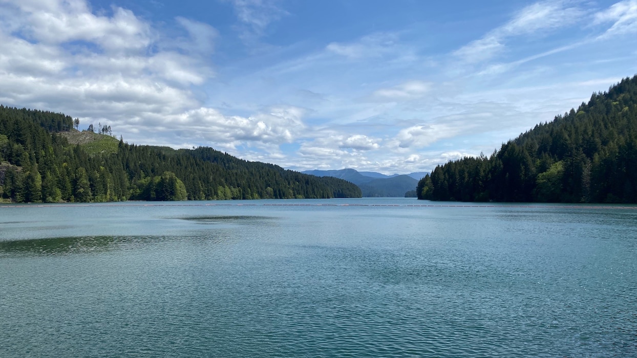 A lake surrounded by hills covered in evergreen trees on a partly cloudy, sunny day