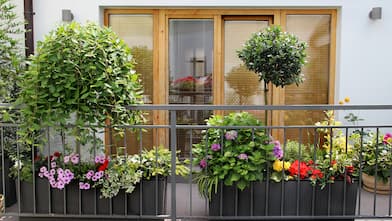 Colorful floral balcony garden