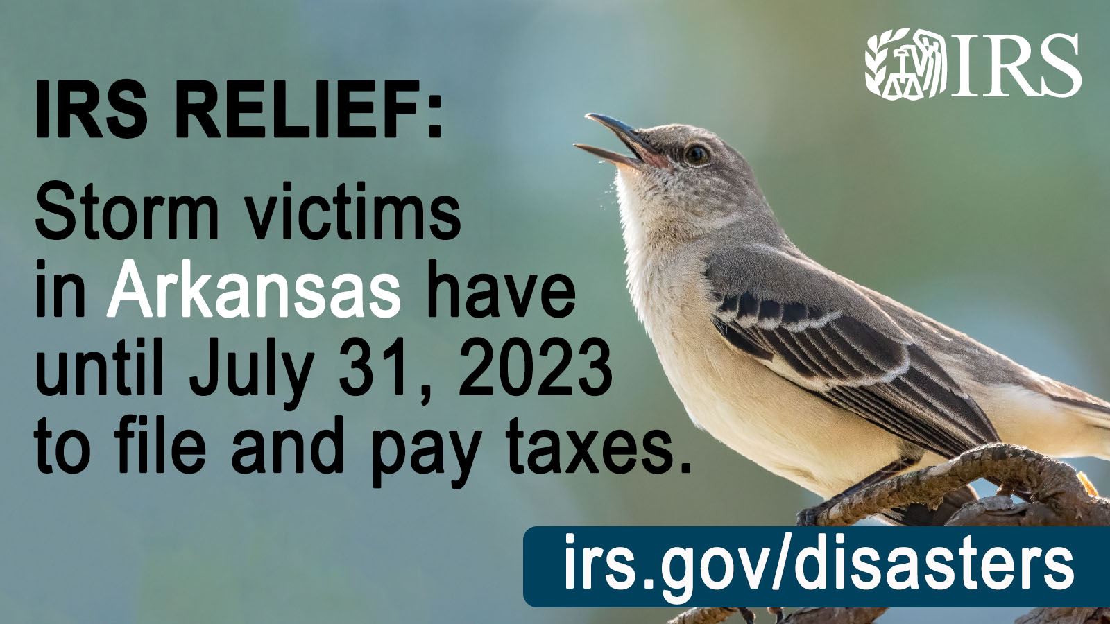 Mocking bird perched on a stick. Text: ‘IRS RELIEF: Storm victims in Arkansas have until July 31, 2023 to file and pay taxes.’ Irs.gov/disasters url displayed. IRS logo. 