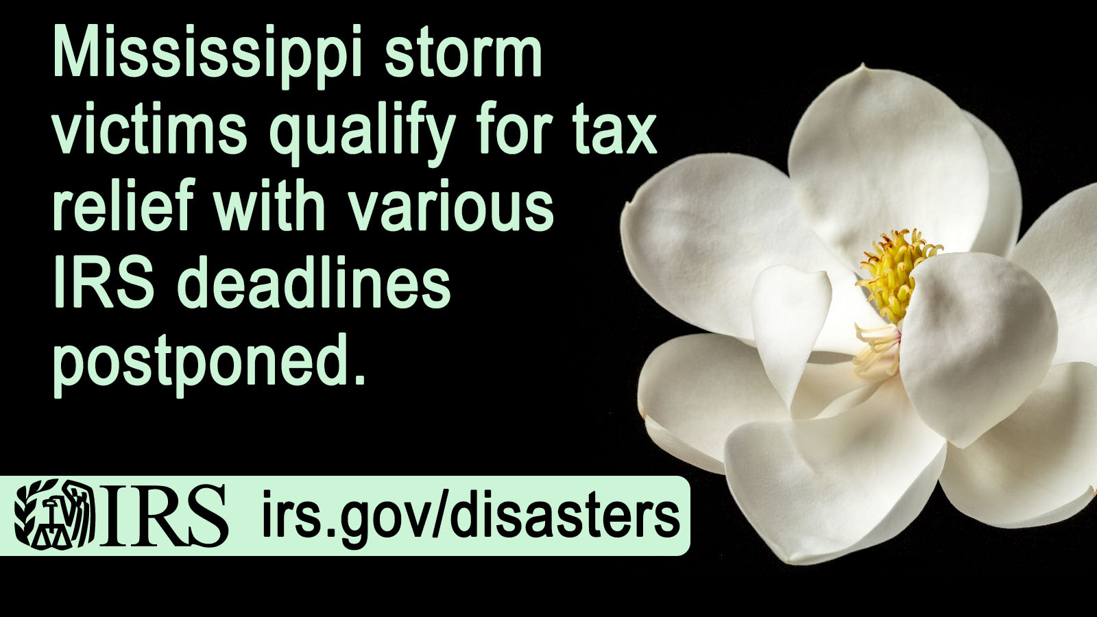 A Magnolia, the State Flower of Mississippi, over a black background.  Text: Mississippi storm victims qualify for tax relief with various IRS deadlines postponed. IRS logo. Irs.gov/disasters