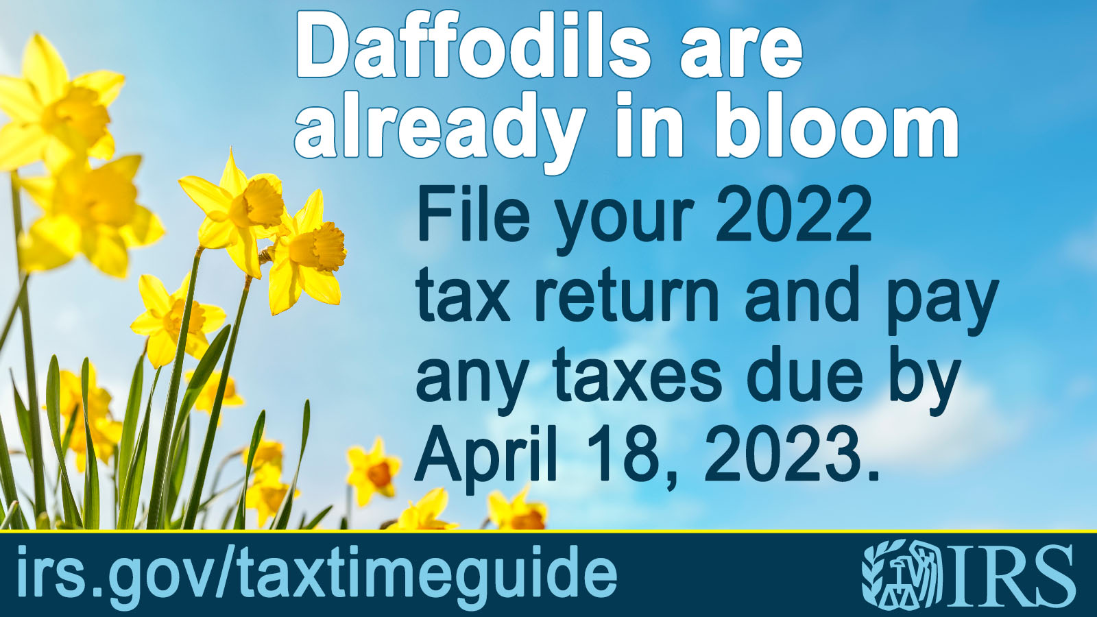 Bright yellow daffodils against a clear sky. IRS logo Text: Daffodils are already in bloom. File your 2022 tax return and pay any taxes due by April 18, 2023. irs.gov/taxtimeguide