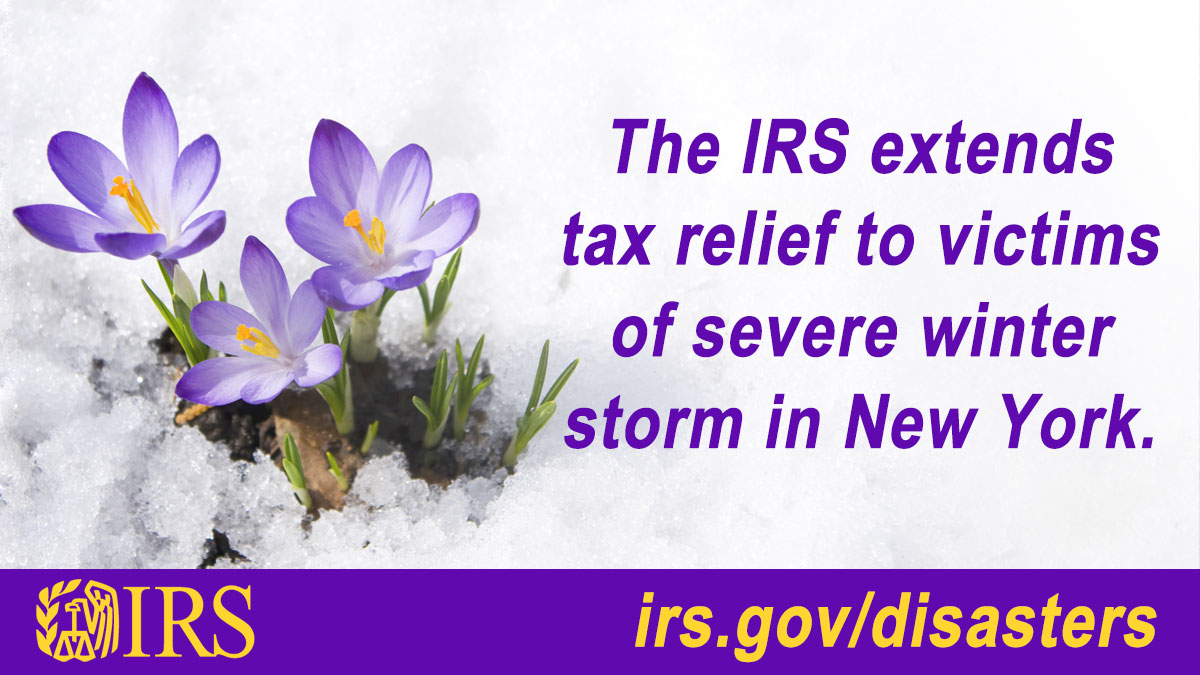 Purple crocus flowers emerging through melting snow. Text: ‘The IRS extends tax relief to victims of severe winter storm in New York.’ 