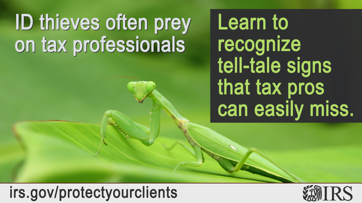 Praying mantis. Text, "ID thieves often prey on tax professionals. Learn to recognize tell-tale signs that tax pros can easily miss." IRS logo. IRS.gov/protectyourclients