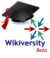 Wikiversity-logo-beta.png