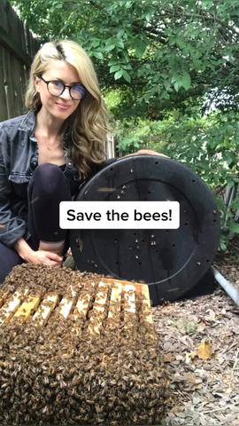 Another day saving the bees! #bees #beekeeper #fyp #tiktok #amazing #nature #learnontiktok #austin #texas created by Erika Thompson with Erika Thompson's original sound