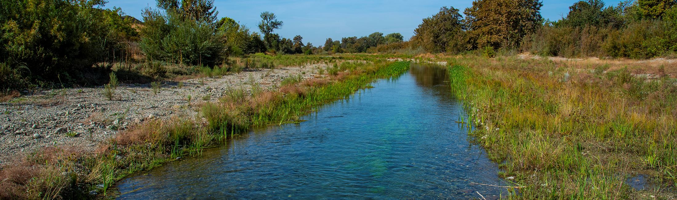 A side channel along the lower Yuba River restored for fisheries as part of the Hallwood Side Channel and Floodplain Restoration project.