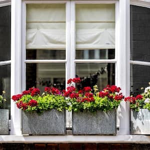 A bay window with roman shades and flowers