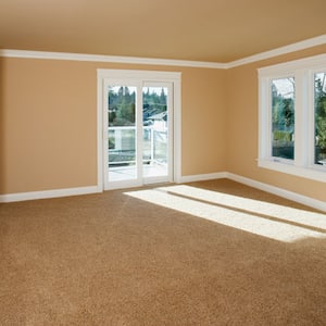 Orange carpet empty living room