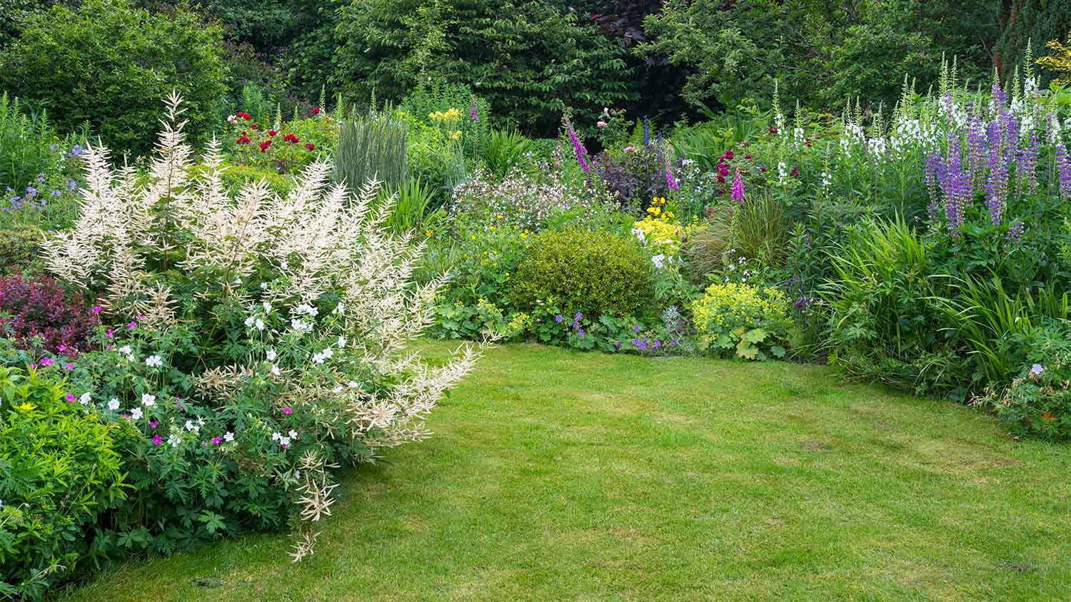 Lush and healthy flower garden